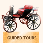Guided tours